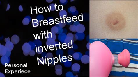 inverted nipples porn|Inverted Nippls Porn Videos .